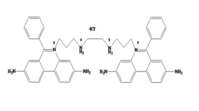 Ethidium Homodimer-1 (EthD-1)
