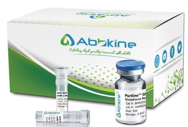 PurKine™ Endotoxin Removal Resin