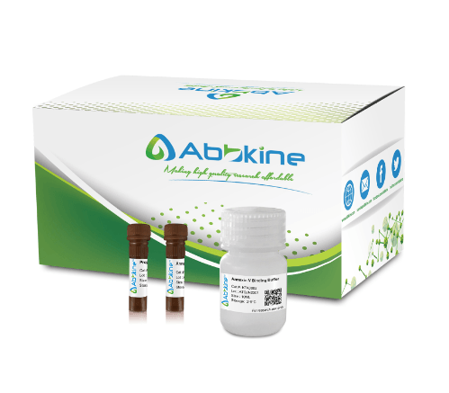 Annexin V-AbFluor™ 405 Apoptosis Detection kit (Blue Fluorescence)