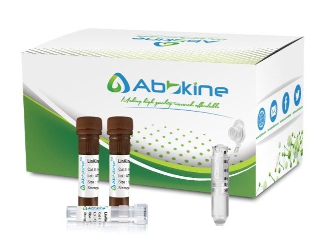 LinKine™ AbFluor™ 647 Labeling Kit (Optimized for samples with molecular weight of 6 KD to 20 KD)