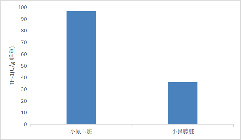 CheKine™ Micro Mitochondrial Transhydrogenase-1 (TH-1) Activity Assay Kit