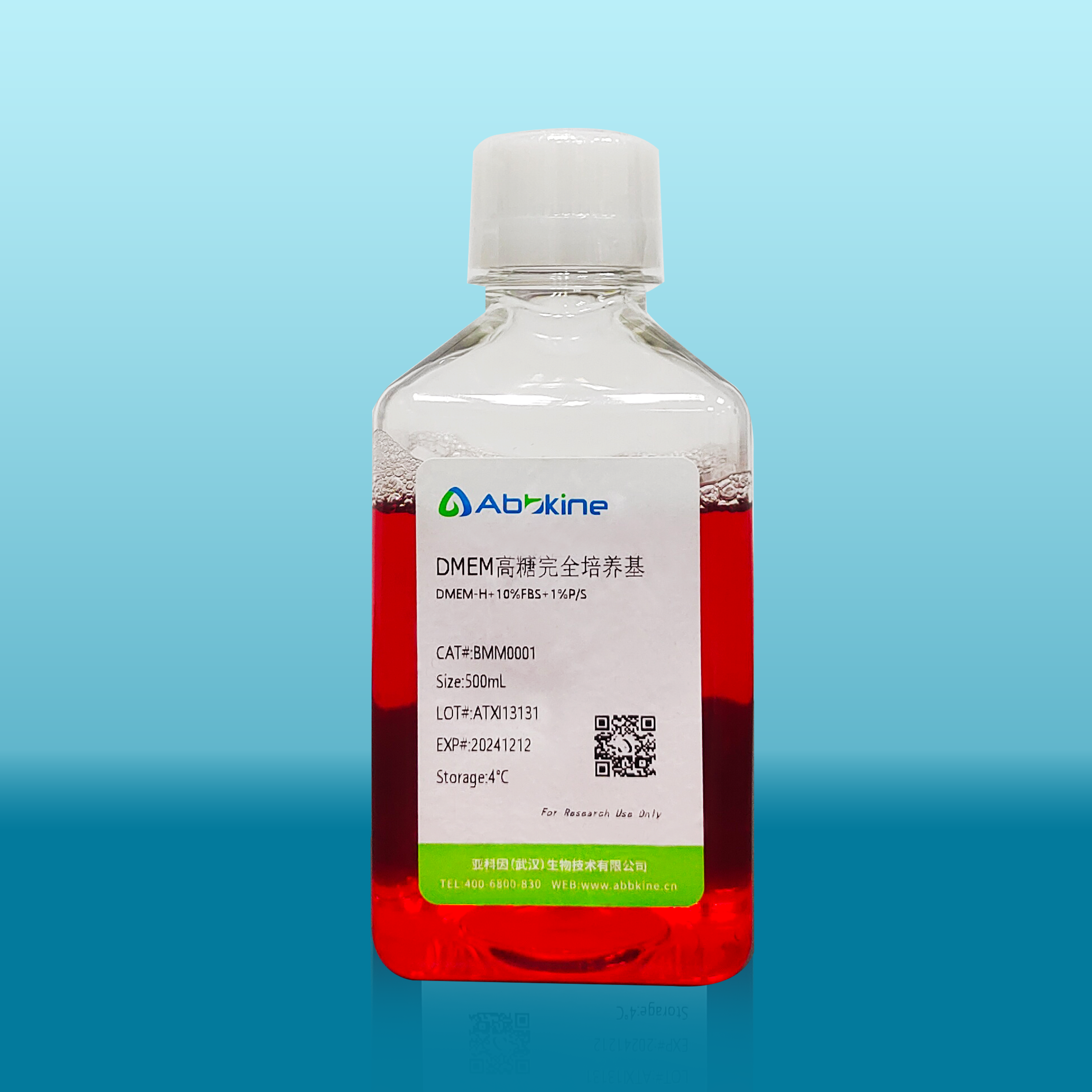 DMEM High Glucose Complete Medium (With 10% serum, 1% Penicillin-Streptomycin Solution)