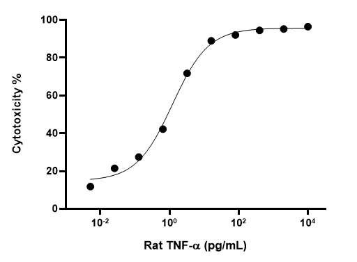 Rat TNF-α protein