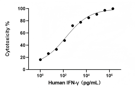 Human IFN-γ protein