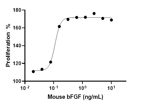 Mouse bFGF protein